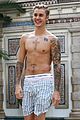 bieber-vers