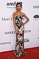 baldwin-amfar