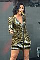 lovato-wangotango