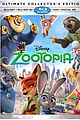 zootopia-dvd