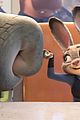 zootopia-dvd