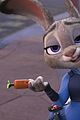 zootopia-dvd