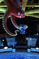 dory-boxoffice