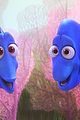 dory-boxoffice