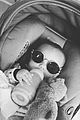 freddie-cool