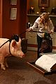 young-pig