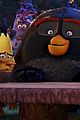 angry-chuck