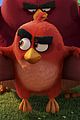 angry-chuck