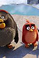 angry-chuck