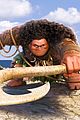 moana-cast