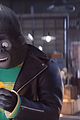 sing-new