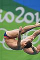 daley-win