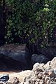 bradley-hawaii