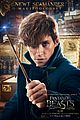 fantastic-posters