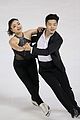 shibs-skateamerica