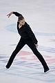 shibs-skateamerica