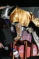 taissa-dog