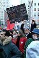 hadid-protest