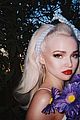 dove-galore