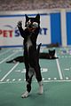 kitten-bowl