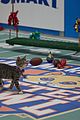 kitten-bowl