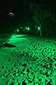 lorde-green