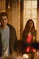 stelena-end