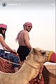 efron-camel