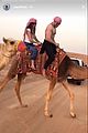 efron-camel