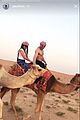 efron-camel