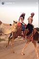 efron-camel