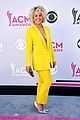 pickler-acm