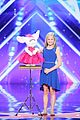 darci-agt