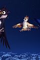 stork-excl