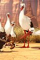 stork-excl