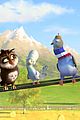 stork-excl