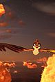 stork-excl