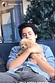 cole-puppy