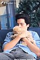 cole-puppy