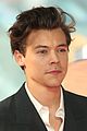 harry-prem