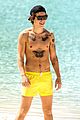 styles-nip3