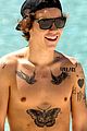 styles-nip3