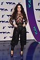 demi-sheer