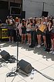 nhc-wings