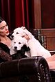 jenner-puppies2