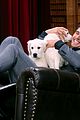 jenner-puppies2