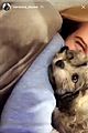 veronica-puppy