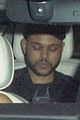 weeknd-yovanna