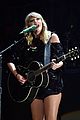 swift-spottedwith