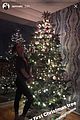 valenna-tree